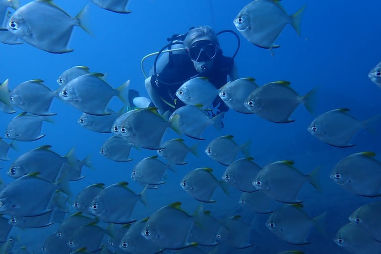 Jemeluk Bay - calm shore entry and easy conditions