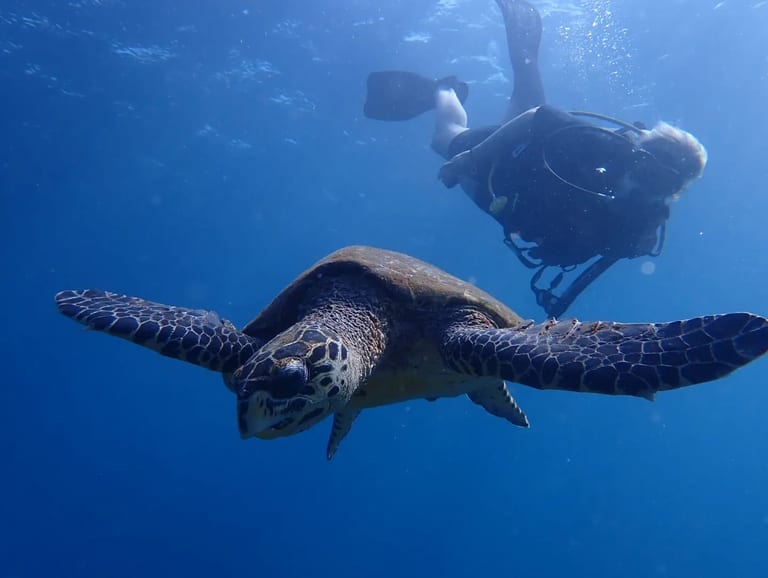 Lipah Bay - easy shore access and clear water