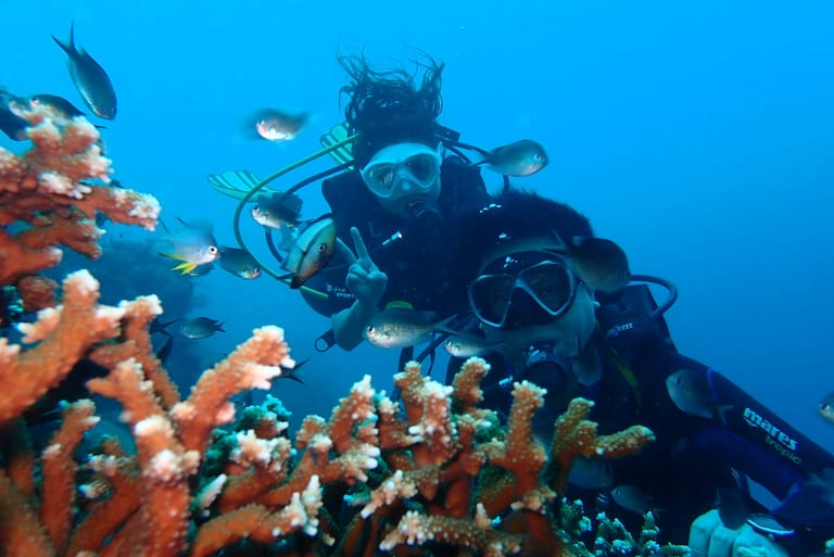 Diving for Every Level - guiding your underwater journey