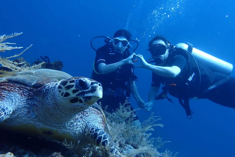 Certified divers enjoying a fun dive on a colorful reef in Amed